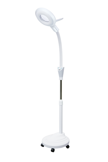 LED Beauty Lamp with Magnifier – D-Shaped Head