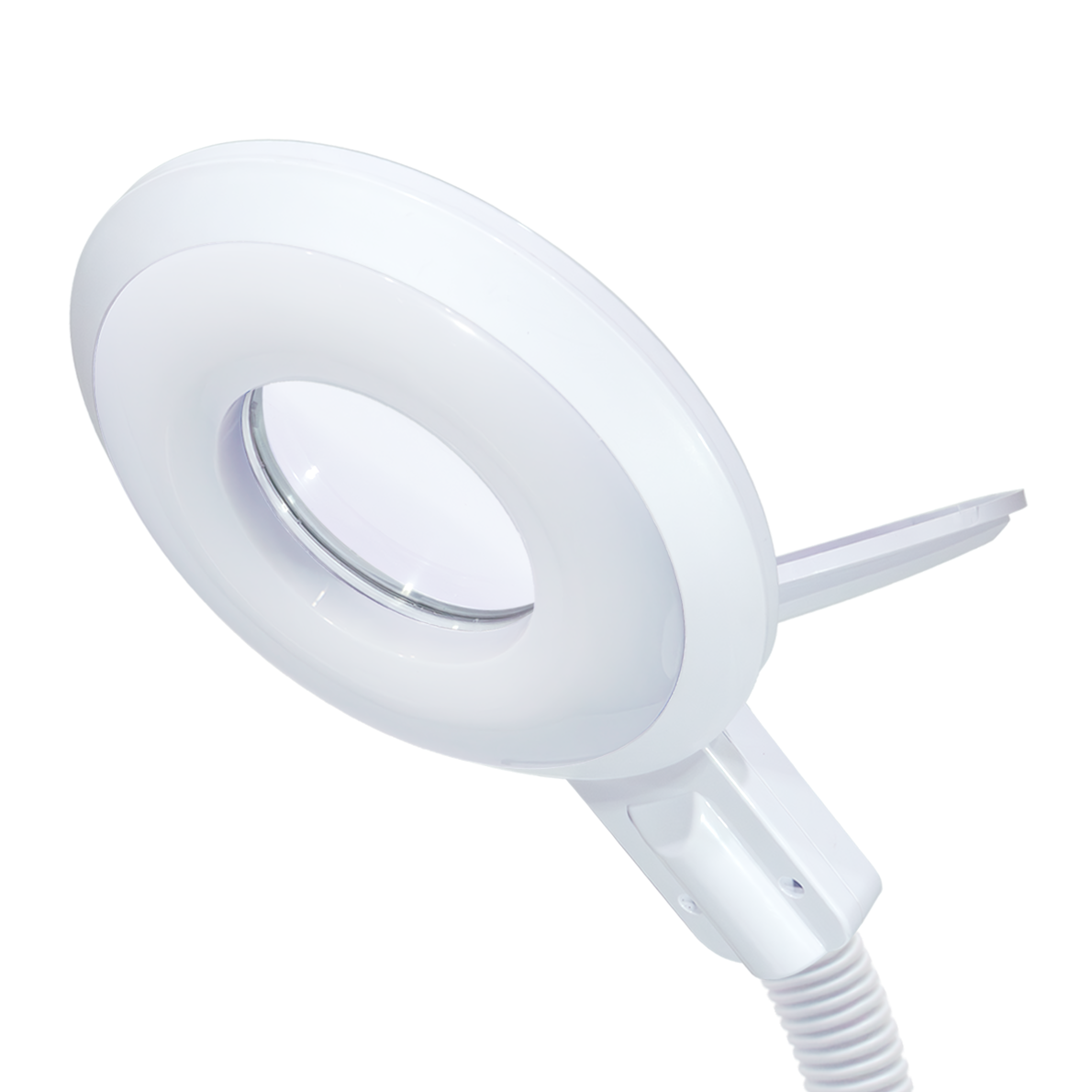 LED Beauty Lamp with Magnifier – D-Shaped Head