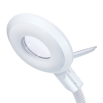 LED Beauty Lamp with Magnifier – D-Shaped Head